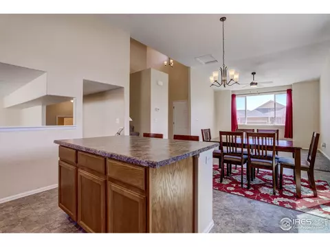 925 Mt Shavano Ave, Severance, CO 80550 photo 13