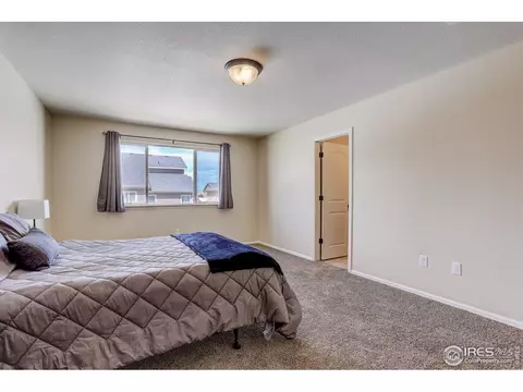 925 Mt Shavano Ave, Severance, CO 80550 photo 22