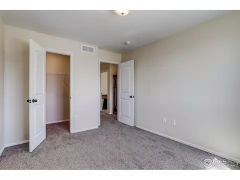 925 Mt Shavano Ave, Severance, CO 80550 photo 28