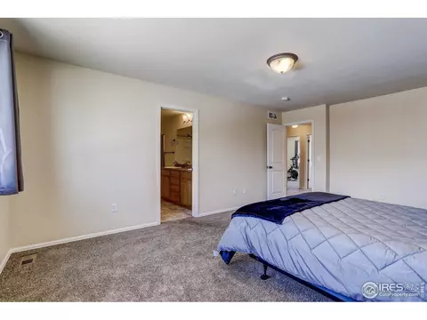 925 Mt Shavano Ave, Severance, CO 80550 photo 23