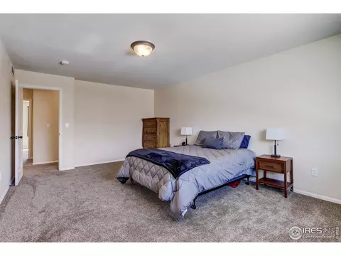 925 Mt Shavano Ave, Severance, CO 80550 photo 21