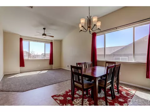 925 Mt Shavano Ave, Severance, CO 80550 photo 7