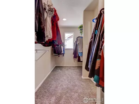 925 Mt Shavano Ave, Severance, CO 80550 photo 24