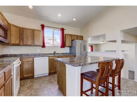 925 Mt Shavano Ave, Severance, CO 80550 photo 3