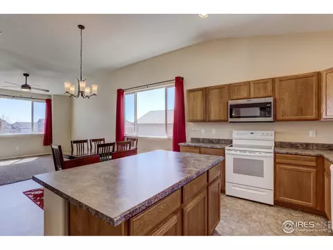 925 Mt Shavano Ave, Severance, CO 80550 photo 9