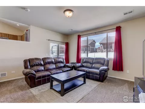 925 Mt Shavano Ave, Severance, CO 80550 photo 17