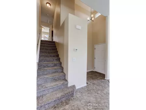 925 Mt Shavano Ave, Severance, CO 80550 photo 14