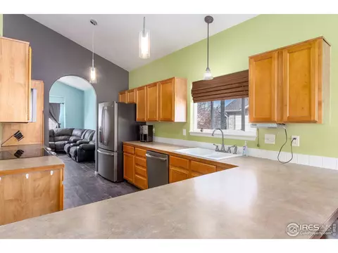 5199 Ruby Ave, Firestone, CO 80504 photo 16