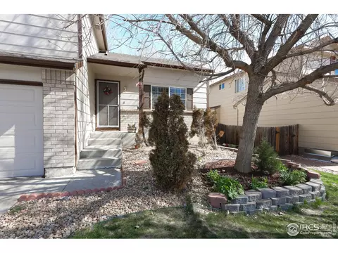 5417 Fox Run Blvd, Frederick, CO 80504 photo 3