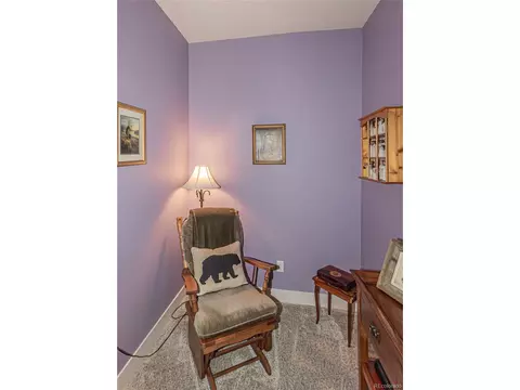 159 Aspen Way, Divide, CO 80814 photo 27