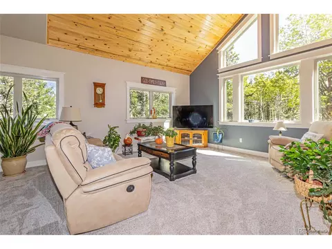 159 Aspen Way, Divide, CO 80814 photo 28