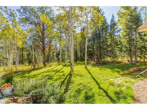 159 Aspen Way, Divide, CO 80814 photo 8