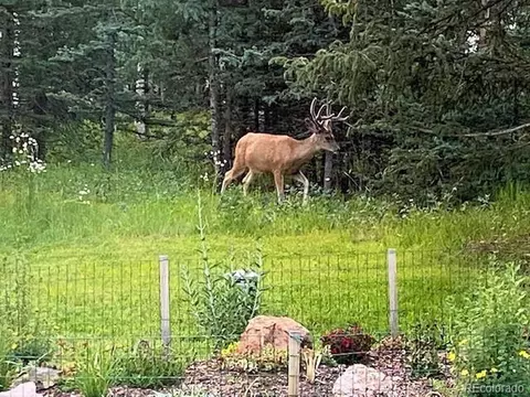 159 Aspen Way, Divide, CO 80814 photo 38