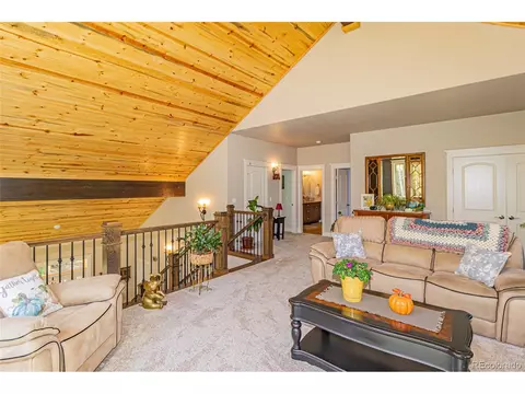 159 Aspen Way, Divide, CO 80814 photo 29