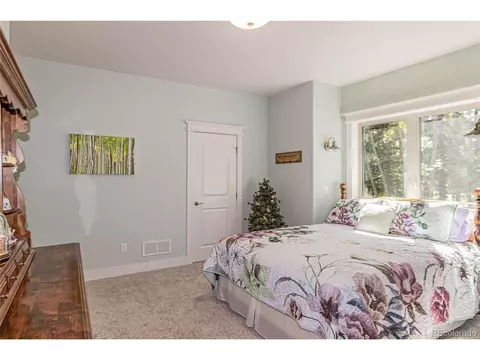 159 Aspen Way, Divide, CO 80814 photo 33