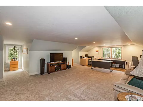 159 Aspen Way, Divide, CO 80814 photo 34