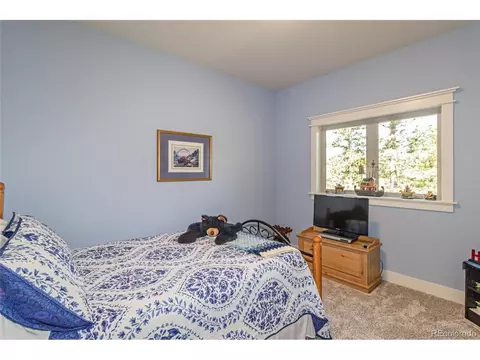 159 Aspen Way, Divide, CO 80814 photo 31