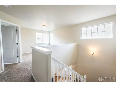 1483 First Light Dr, Windsor, CO 80550 photo 15