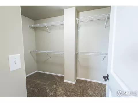 1483 First Light Dr, Windsor, CO 80550 photo 23
