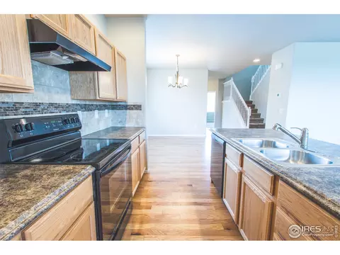 1483 First Light Dr, Windsor, CO 80550 photo 9