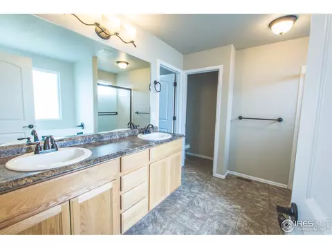 1483 First Light Dr, Windsor, CO 80550 photo 19