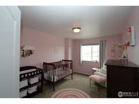 5760 Mt Shadows Blvd, Firestone, CO 80504 photo 29