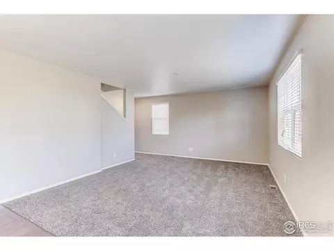 161 Hidden Lake Dr, Severance, CO 80550 photo 3