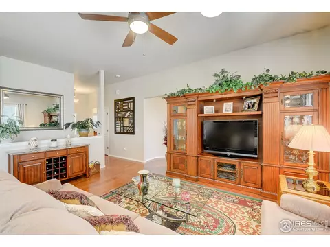 843 Shade Tree Dr, Windsor, CO 80550 photo 7