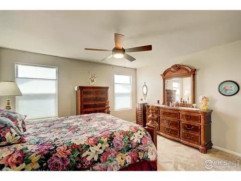 843 Shade Tree Dr, Windsor, CO 80550 photo 20