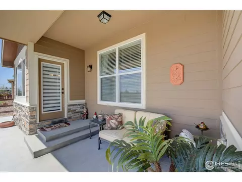 843 Shade Tree Dr, Windsor, CO 80550 photo 29
