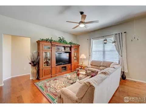 843 Shade Tree Dr, Windsor, CO 80550 photo 8