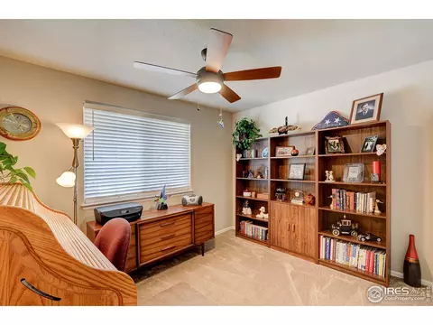 843 Shade Tree Dr, Windsor, CO 80550 photo 24