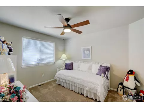 843 Shade Tree Dr, Windsor, CO 80550 photo 23