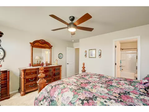843 Shade Tree Dr, Windsor, CO 80550 photo 21