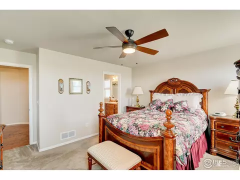 843 Shade Tree Dr, Windsor, CO 80550 photo 19