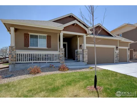 843 Shade Tree Dr, Windsor, CO 80550 photo 2
