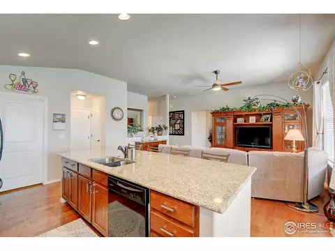 843 Shade Tree Dr, Windsor, CO 80550 photo 12