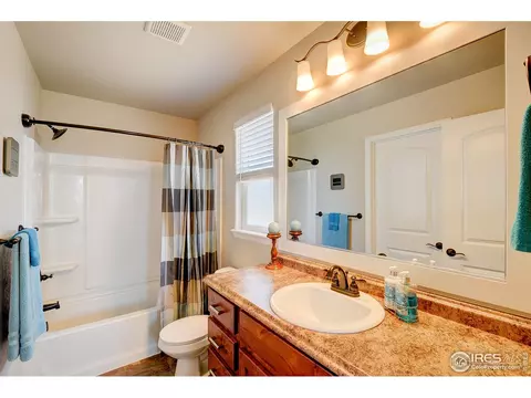 843 Shade Tree Dr, Windsor, CO 80550 photo 22