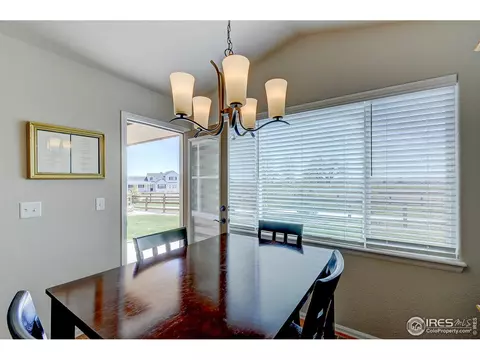 843 Shade Tree Dr, Windsor, CO 80550 photo 16