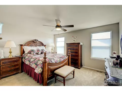 843 Shade Tree Dr, Windsor, CO 80550 photo 18