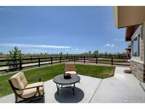 843 Shade Tree Dr, Windsor, CO 80550 photo 30