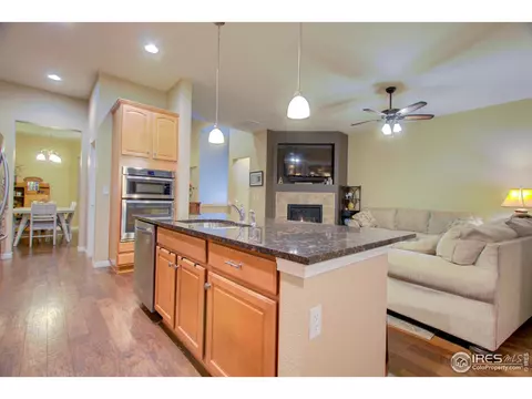 5644 Summerlyn Ct, Windsor, CO 80550 photo 10