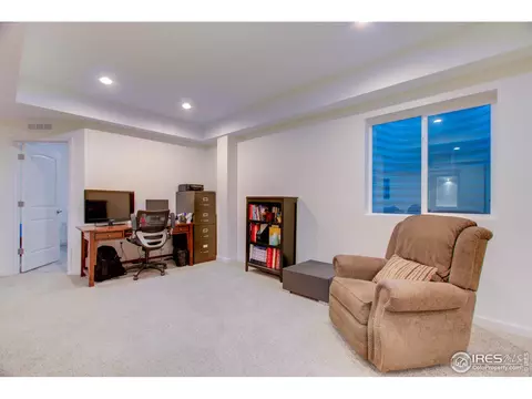 5644 Summerlyn Ct, Windsor, CO 80550 photo 27