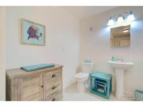 5644 Summerlyn Ct, Windsor, CO 80550 photo 30
