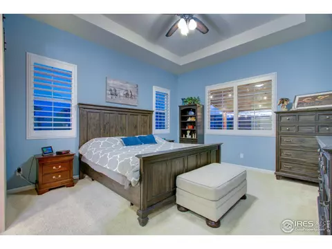5644 Summerlyn Ct, Windsor, CO 80550 photo 16