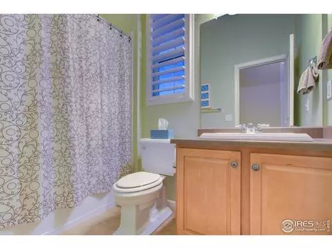 5644 Summerlyn Ct, Windsor, CO 80550 photo 22