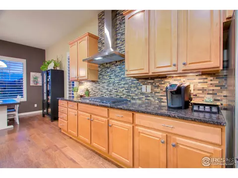 5644 Summerlyn Ct, Windsor, CO 80550 photo 9