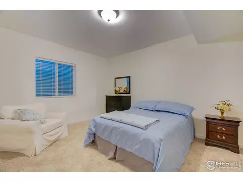 5644 Summerlyn Ct, Windsor, CO 80550 photo 29