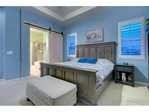 5644 Summerlyn Ct, Windsor, CO 80550 photo 17