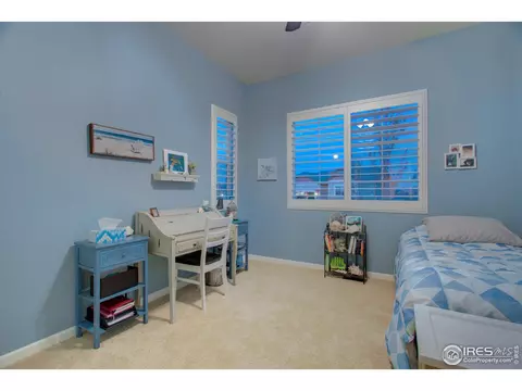 5644 Summerlyn Ct, Windsor, CO 80550 photo 21